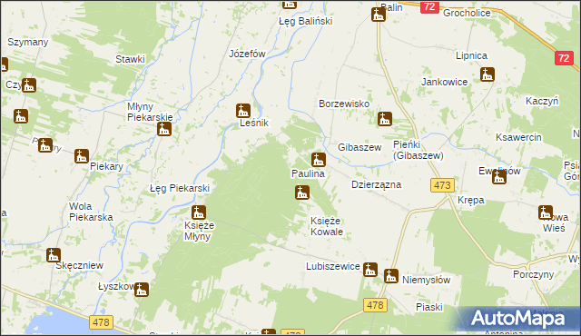 mapa Paulina gmina Poddębice, Paulina gmina Poddębice na mapie Targeo