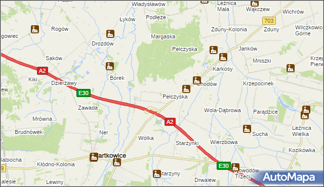 mapa Pełczyska gmina Wartkowice, Pełczyska gmina Wartkowice na mapie Targeo