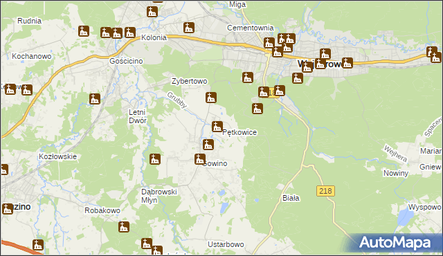 mapa Pętkowice gmina Wejherowo, Pętkowice gmina Wejherowo na mapie Targeo