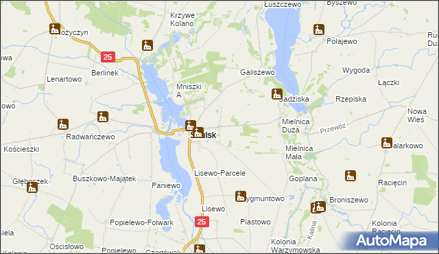 mapa Piaski gmina Skulsk, Piaski gmina Skulsk na mapie Targeo