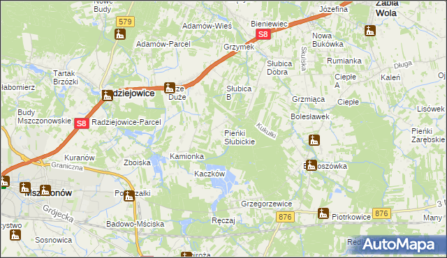 mapa Pieńki Słubickie, Pieńki Słubickie na mapie Targeo