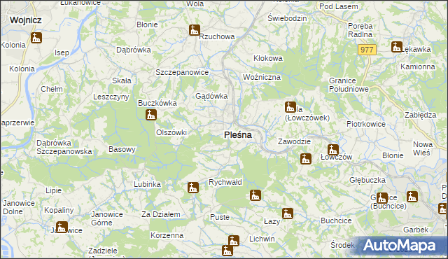 mapa Pleśna powiat tarnowski, Pleśna powiat tarnowski na mapie Targeo