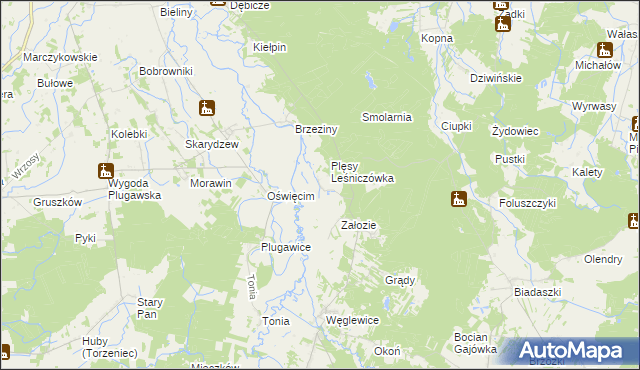 mapa Plęsy gmina Galewice, Plęsy gmina Galewice na mapie Targeo