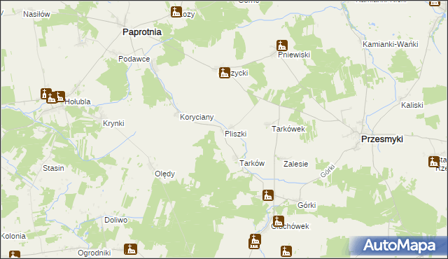 mapa Pliszki, Pliszki na mapie Targeo