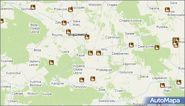 mapa Pluty gmina Brąszewice, Pluty gmina Brąszewice na mapie Targeo