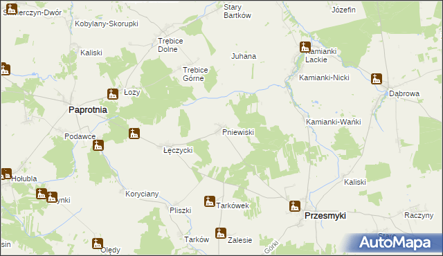 mapa Pniewiski, Pniewiski na mapie Targeo