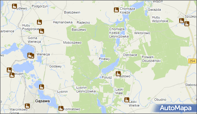 mapa Pniewy gmina Gąsawa, Pniewy gmina Gąsawa na mapie Targeo