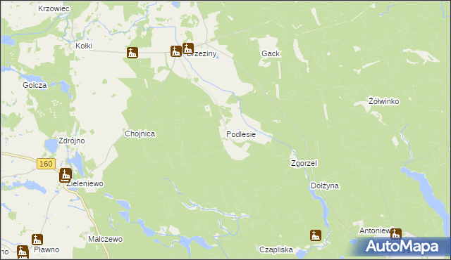 mapa Podlesie gmina Drawno, Podlesie gmina Drawno na mapie Targeo