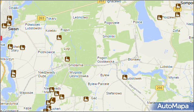 mapa Pogoń Gosławicka, Pogoń Gosławicka na mapie Targeo