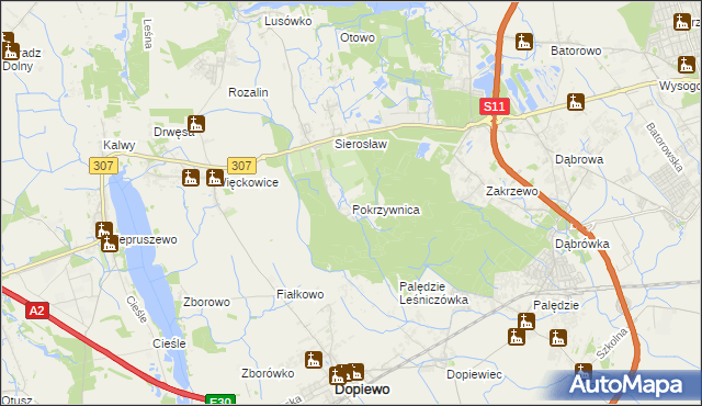 mapa Pokrzywnica gmina Dopiewo, Pokrzywnica gmina Dopiewo na mapie Targeo