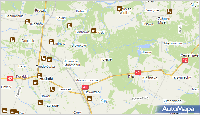 mapa Polesie gmina Rudniki, Polesie gmina Rudniki na mapie Targeo