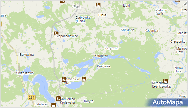 mapa Potęgowo gmina Linia, Potęgowo gmina Linia na mapie Targeo