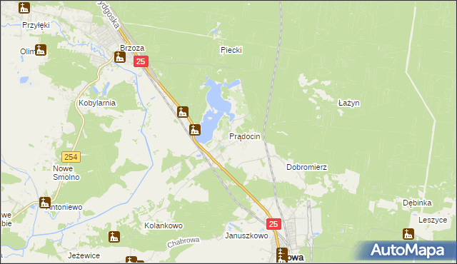 mapa Prądocin gmina Nowa Wieś Wielka, Prądocin gmina Nowa Wieś Wielka na mapie Targeo