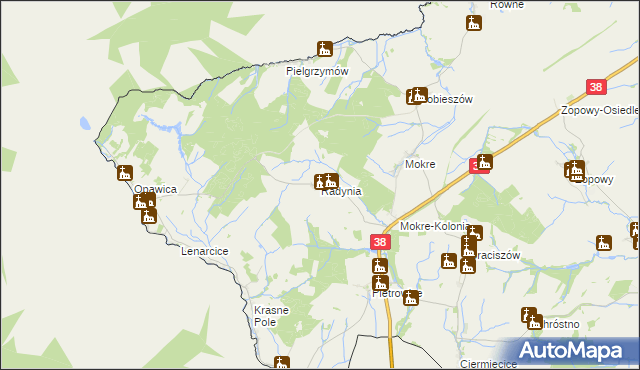 mapa Radynia, Radynia na mapie Targeo