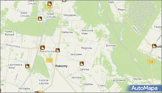 mapa Reginów, Reginów na mapie Targeo