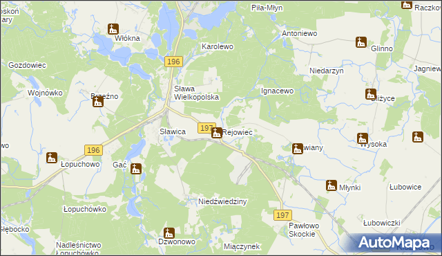 mapa Rejowiec gmina Skoki, Rejowiec gmina Skoki na mapie Targeo