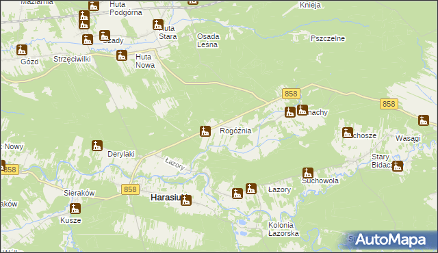 mapa Rogóźnia gmina Harasiuki, Rogóźnia gmina Harasiuki na mapie Targeo