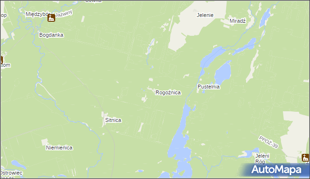 mapa Rogoźnica gmina Drawno, Rogoźnica gmina Drawno na mapie Targeo