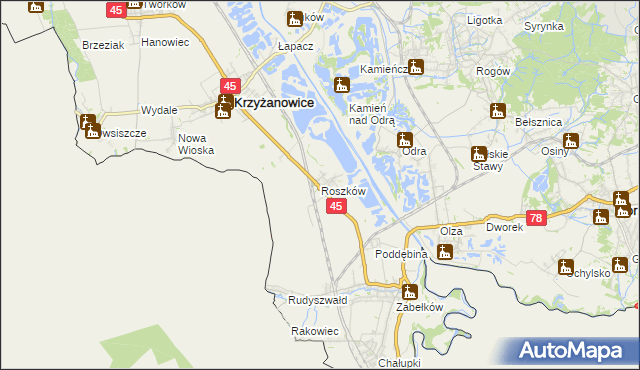 mapa Roszków gmina Krzyżanowice, Roszków gmina Krzyżanowice na mapie Targeo