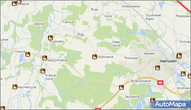 mapa Roszkowice gmina Niemodlin, Roszkowice gmina Niemodlin na mapie Targeo