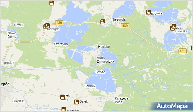 mapa Ruda Żmigrodzka, Ruda Żmigrodzka na mapie Targeo