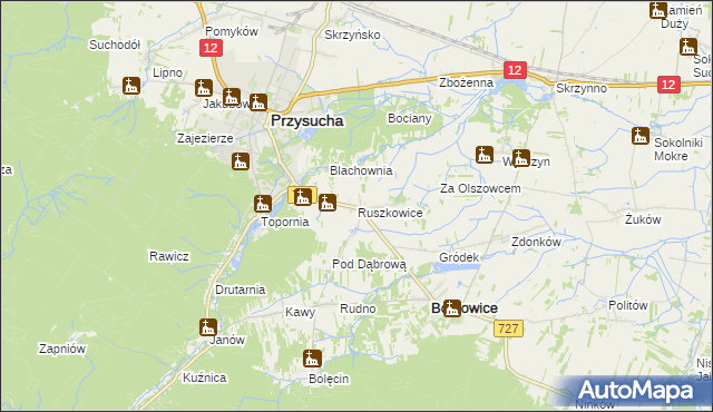 mapa Ruszkowice gmina Borkowice, Ruszkowice gmina Borkowice na mapie Targeo