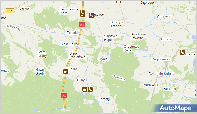mapa Rybie gmina Rychwał, Rybie gmina Rychwał na mapie Targeo