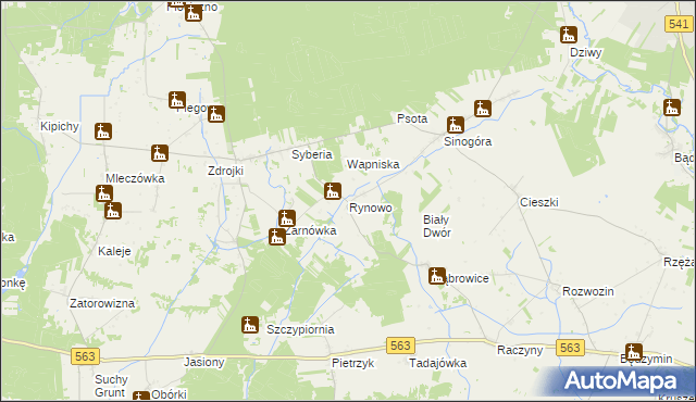 mapa Rynowo gmina Lubowidz, Rynowo gmina Lubowidz na mapie Targeo