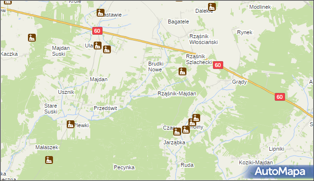 mapa Rząśnik-Majdan, Rząśnik-Majdan na mapie Targeo