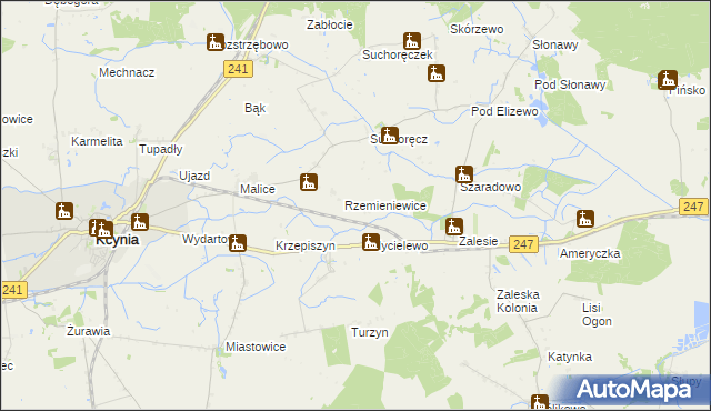 mapa Rzemieniewice gmina Szubin, Rzemieniewice gmina Szubin na mapie Targeo