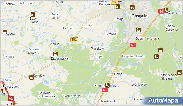 mapa Sałki gmina Gostynin, Sałki gmina Gostynin na mapie Targeo