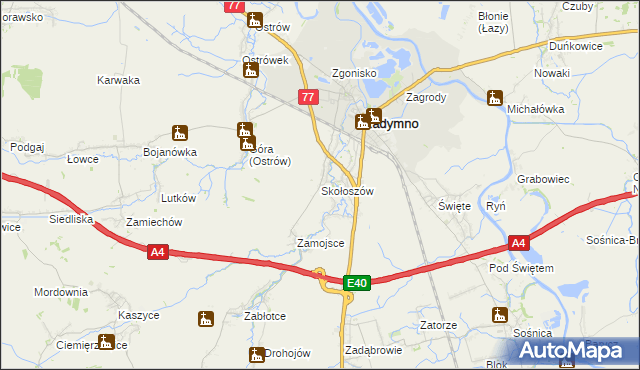 mapa Skołoszów, Skołoszów na mapie Targeo