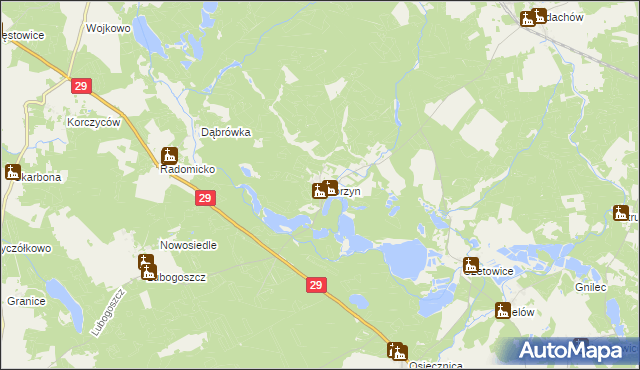 mapa Skórzyn gmina Maszewo, Skórzyn gmina Maszewo na mapie Targeo