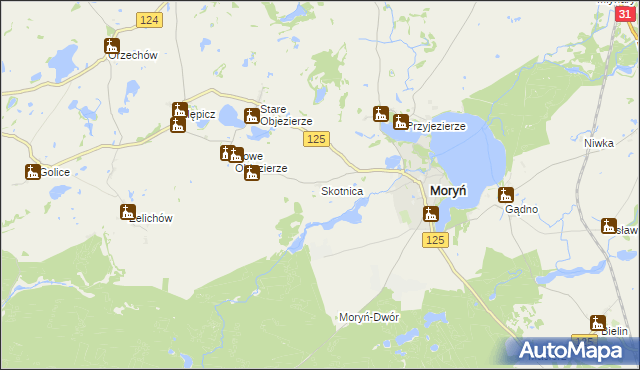 mapa Skotnica gmina Moryń, Skotnica gmina Moryń na mapie Targeo