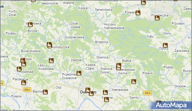 mapa Śliwnica gmina Dubiecko, Śliwnica gmina Dubiecko na mapie Targeo