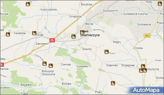 mapa Śliwniki gmina Nowe Skalmierzyce, Śliwniki gmina Nowe Skalmierzyce na mapie Targeo