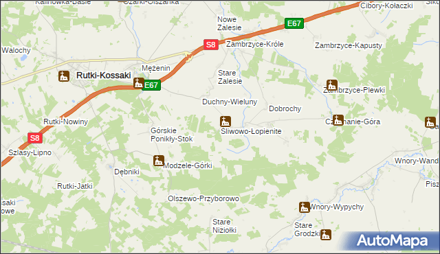 mapa Śliwowo-Łopienite, Śliwowo-Łopienite na mapie Targeo