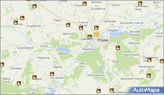 mapa Słowików gmina Przytyk, Słowików gmina Przytyk na mapie Targeo