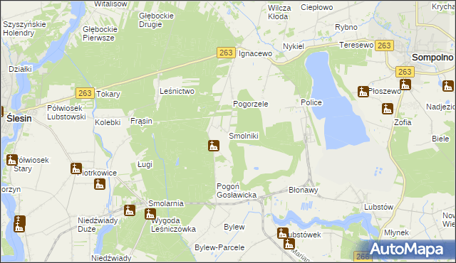 mapa Smolniki gmina Ślesin, Smolniki gmina Ślesin na mapie Targeo