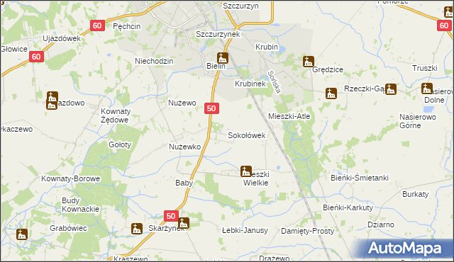 mapa Sokołówek gmina Ciechanów, Sokołówek gmina Ciechanów na mapie Targeo