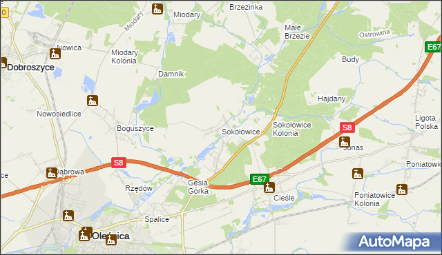 mapa Sokołowice gmina Oleśnica, Sokołowice gmina Oleśnica na mapie Targeo