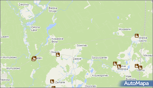 mapa Sowiniec gmina Cekcyn, Sowiniec gmina Cekcyn na mapie Targeo