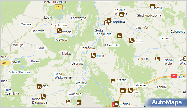 mapa Strobin, Strobin na mapie Targeo
