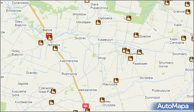 mapa Strugi gmina Teresin, Strugi gmina Teresin na mapie Targeo