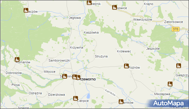 mapa Strużyna gmina Przeworno, Strużyna gmina Przeworno na mapie Targeo