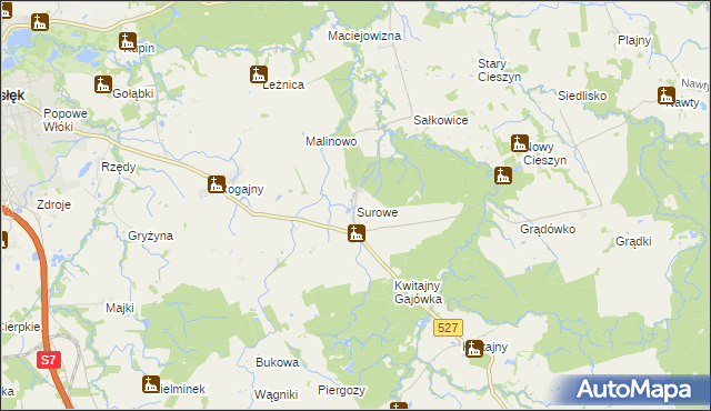 mapa Surowe gmina Pasłęk, Surowe gmina Pasłęk na mapie Targeo