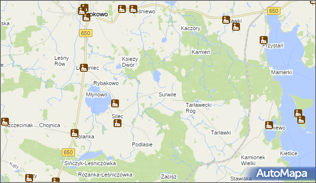 mapa Surwile, Surwile na mapie Targeo