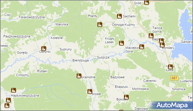 mapa Suszcza, Suszcza na mapie Targeo