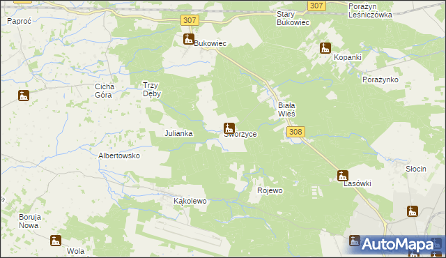 mapa Sworzyce gmina Grodzisk Wielkopolski, Sworzyce gmina Grodzisk Wielkopolski na mapie Targeo