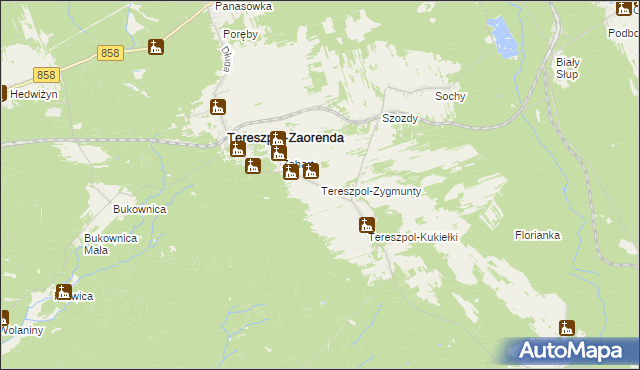 mapa Tereszpol-Zygmunty, Tereszpol-Zygmunty na mapie Targeo